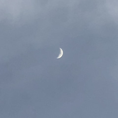 King - Tum Saath Rehnaa