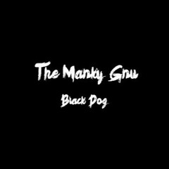 Black Dog