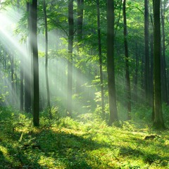 James Dupre – Another Love Song Contest 2024 - Andreas Sterios Mix