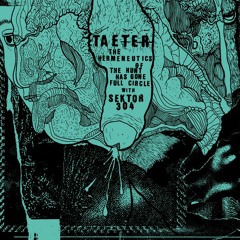 TAETER & SEKTOR 304 - Our Sexual Acts Were Exploratorial Ordeals