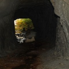 Ashes of Resentment (Demo)