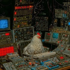 Gallus