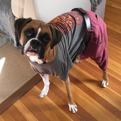 i knew id lose you (live from my bedroom)