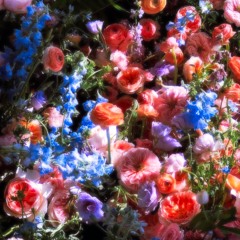 Shyntwirl - Flowers And Roses (PROD. Shyntwirl)