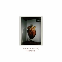 nie mam czasu