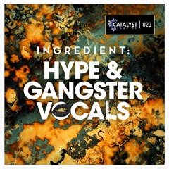 Hype & Gangster Vocals (Demo)