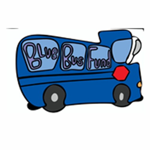 Wellsprings Blue Bus Fund Mix