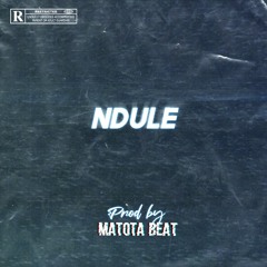 Ndule Feat. Guapi (Prod by. Matota Beat)