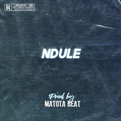 Ndule Feat. Guapi (Prod by. Matota Beat)