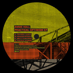 Annie Hall - Practical Optimism EP (DSR-E15)