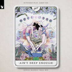 Ain't Deep Enough (Bonsai Mammal Chill Mix) [feat. Jared Lee]