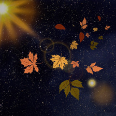 Fall [Free DL]