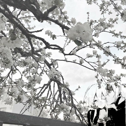 tveth x yokai kage - anna flip