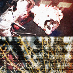 Cartas Por Porvir w/ Charlie Noir - 051125