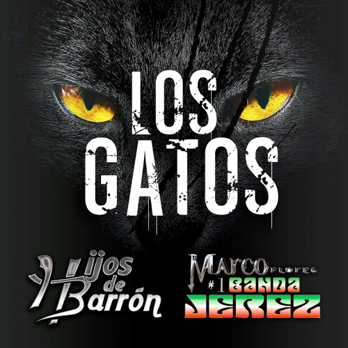 Stream Los Gatos (feat. Marco Flores Y La Numero 1 Banda Jerez) by Hijos De  Barrón | Listen online for free on SoundCloud