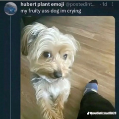 acostumbrado (free yesehh album)