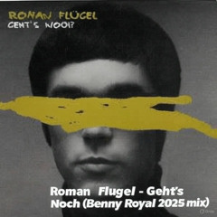 Roman Flugel - Geht's Noch (Benny Royal 2025 mix)