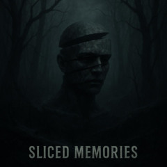 SLICED MEMORIES