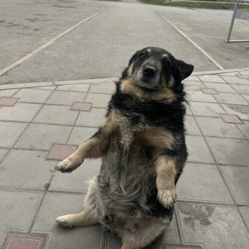 The Girl Next Door Gone Bad - Lil Hero