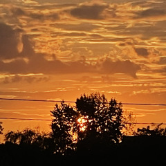 Battles D.O.T.S. 02/AUG/2021