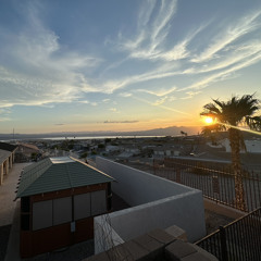 Shake the Frost (Live)