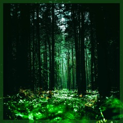 EMERALD ✧ エメラルド