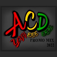 **2022 Promo Mix**