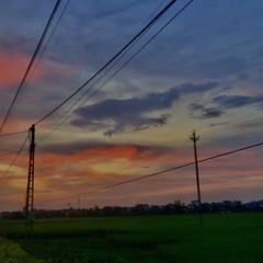 nhac k thi truong😒