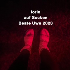 Iorie auf Socken @ Beate Barfuß, November 2023