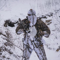 FATE (should i release this?)