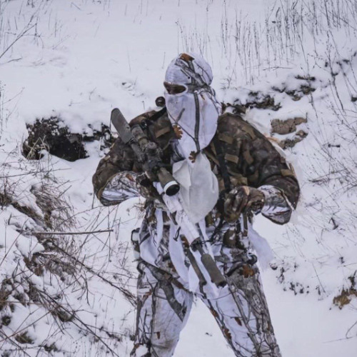 FATE (should i release this?)