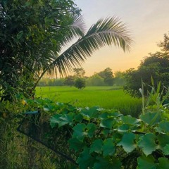 Music for a Sakon Nakhon Chill Out Evening