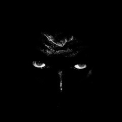 kalo - show em (trvuma)