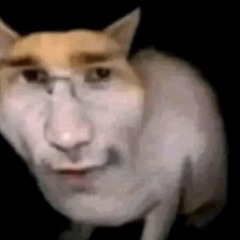.wav