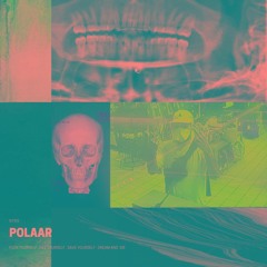 POLAAR