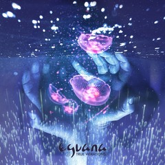 True Vibrations (Original Mix)
