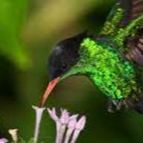 Sounds Of Jamaica Reggae Mix 2021 Part 1