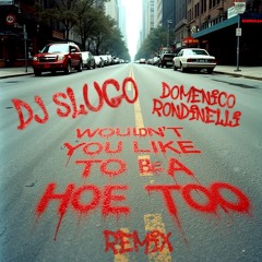 Dj Slugo - Wouldnt You Like To Be A Hoe Too (Domenico Rondinelli Remix) RADIO MIX MASTER