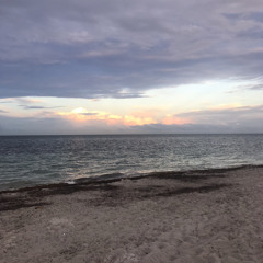 In the Grand Scheme of Things