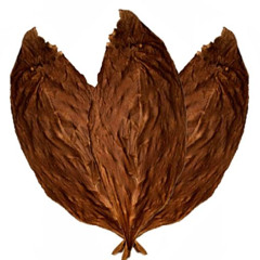03 دعاء الي امي