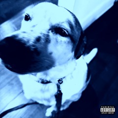 B3NIT0 ALVAR3Z X KING KOLI X DUBBLE$ATCH3LLJACK - rocka-$affa-finn-cypher
