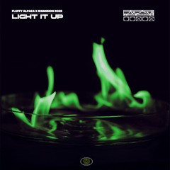 FLUFFY ALPACA x Rhiannon Roze - Light It Up