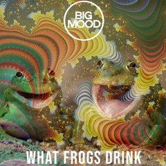 What Frogs Drink (V2)