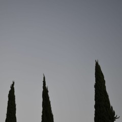 cemeteries (demo)