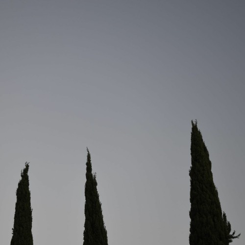 cemeteries (demo)