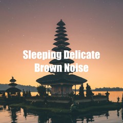 Sleeping Delicate Brown Noise