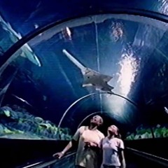 Aquarium III : スローモーションの夢