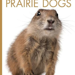 [FREE] EPUB 📌 Prairie Dogs (Amazing Animals) by  Valerie Bodden KINDLE PDF EBOOK EPU