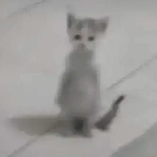 Du liebst mich nicht - Ado Kojo , Shirin David