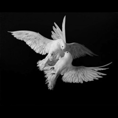 bang bang (my baby shot me down)